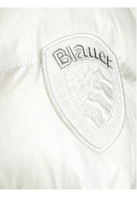 Blauer Kurtka zimowa 23WBLDK03090 Écru Regular Fit. Materiał: syntetyk. Sezon: zima #3