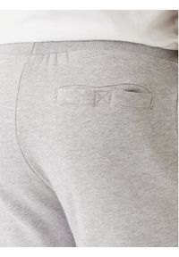 Nautica Spodnie dresowe Nampa N1T04063 Szary Regular Fit. Kolor: szary. Materiał: bawełna #4