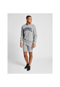 Bluza Hummel Ic Bill. Kolor: szary. Sport: fitness #2