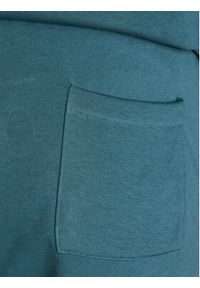 outhorn - Outhorn Spodnie dresowe TTROM195 Zielony Regular Fit. Kolor: zielony. Materiał: dresówka, bawełna #4