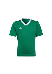Adidas - Koszulka piłkarska dla dzieci adidas Entrada 22 Jersey. Kolor: zielony, biały, wielokolorowy. Materiał: jersey. Sport: piłka nożna