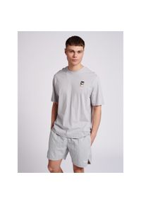 Koszulka Hummel Lgc Charles. Kolor: szary. Sport: fitness #1