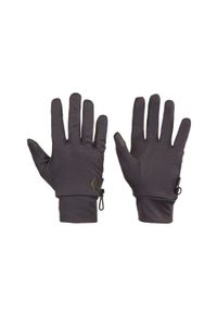 Rękawice trekkingowe męskie Black Diamond Lightweight Wooltech czarne. Kolor: czarny. Sezon: zima. Sport: narciarstwo