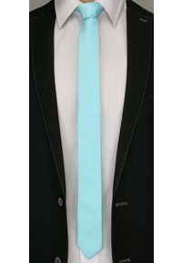Jednokolorowy Krawat Męski, Śledź - 5 cm - Angelo di Monti, Niebieski Pudrowy. Kolor: niebieski