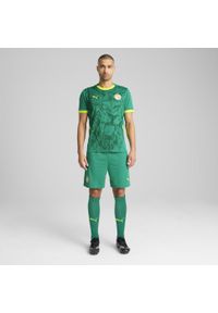 Puma - Męskie szorty Senegal 2025 PUMA Sport Green Electric Lime. Kolor: zielony. Wzór: aplikacja