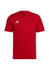 Koszulka Adidas Sport Ent22 Dorosłych. Kolor: czerwony. Materiał: bawełna