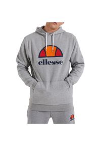 Bluza treningowa męska Ellesse Dahryl Oh Hoody. Kolor: szary. Sport: koszykówka #1