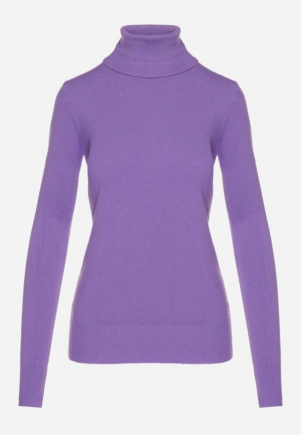 Born2be - Fioletowy Golf Sweter z Wiskozą i Kaszmirem Zailaya. Okazja: na co dzień. Typ kołnierza: golf. Kolor: fioletowy. Materiał: wiskoza, kaszmir. Styl: casual