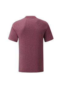 FRUIT OF THE LOOM - Męska Koszulka Iconic 150. Kolor: czerwony, wielokolorowy, brązowy