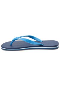 Niebieskie Japonki Ipanema Modne Buty Męskie. Okazja: na plażę, na co dzień. Kolor: niebieski. Materiał: materiał. Wzór: paski. Sezon: lato. Styl: sportowy, klasyczny, elegancki, casual #7