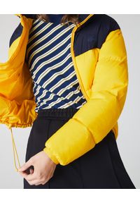 Lacoste - LACOSTE - Żółta kurtka puchowa z logo. Typ kołnierza: kaptur. Kolor: niebieski. Materiał: puch. Wzór: aplikacja #4