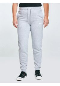 Big-Star - Spodnie damskie dresowe szare Kathy 901. Kolor: szary. Materiał: dresówka. Wzór: nadruk #6