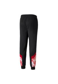 Puma AC Milan Training Pants Black L - Men's Sportbroek. Kolor: wielokolorowy. Materiał: mesh. Sport: bieganie