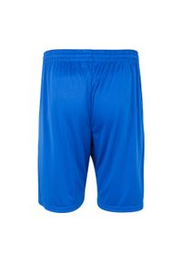 Spodenki sportowe męskie Kappa Zenio. Kolor: niebieski. Materiał: poliester. Długość: krótkie. Sezon: lato