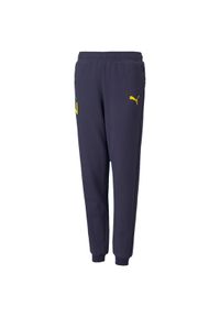 Spodnie dla dzieci Puma Neymar Jr Hero granatowe 605547 06. Kolor: niebieski. Sport: joga i pilates #1