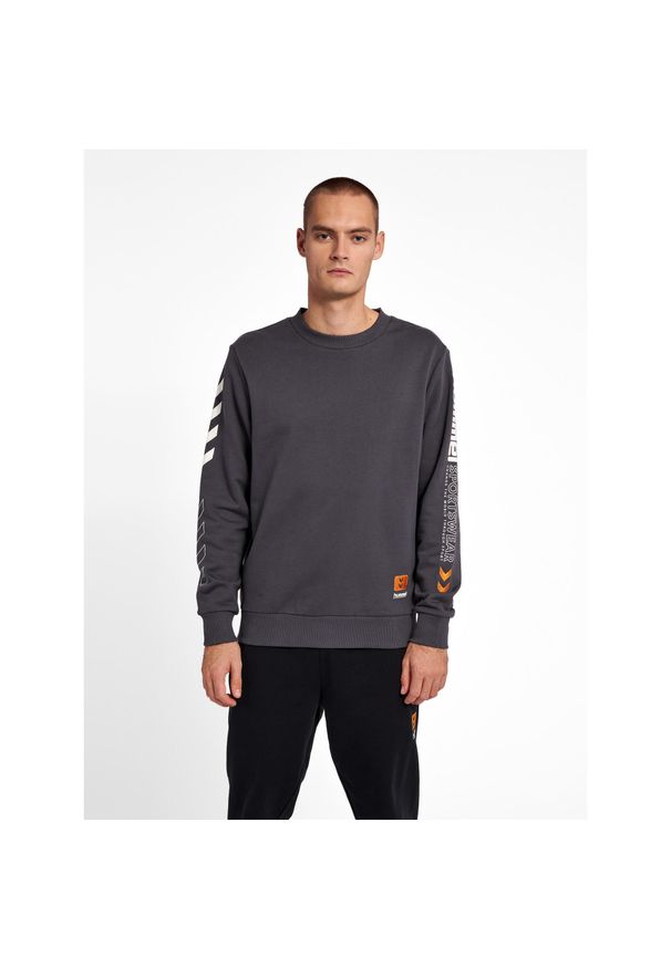 Bluza Hummel hmlLGC Birk. Kolor: szary