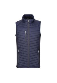 Regatta - Męski Hybrydowy Ocieplacz Na Ciało Navigate. Kolor: wielokolorowy, niebieski, szary. Sport: turystyka piesza #1