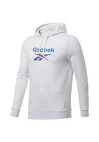 Bluza męska Reebok Classic Vector Hoodie biała. Kolor: biały #1