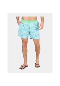 Kąpielówki męskie Nautica Kayron 6". Okazja: na plażę. Kolor: zielony, niebieski, wielokolorowy. Styl: sportowy