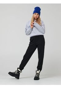 Sinsay - Spodnie dresowe jogger - czarny. Kolor: czarny. Materiał: dresówka