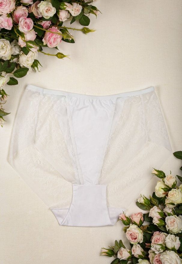 Renee - Białe Majtki High Waist z Delikatną Koronką Fasade. Stan: podwyższony. Kolekcja: plus size. Kolor: biały. Materiał: koronka. Wzór: koronka