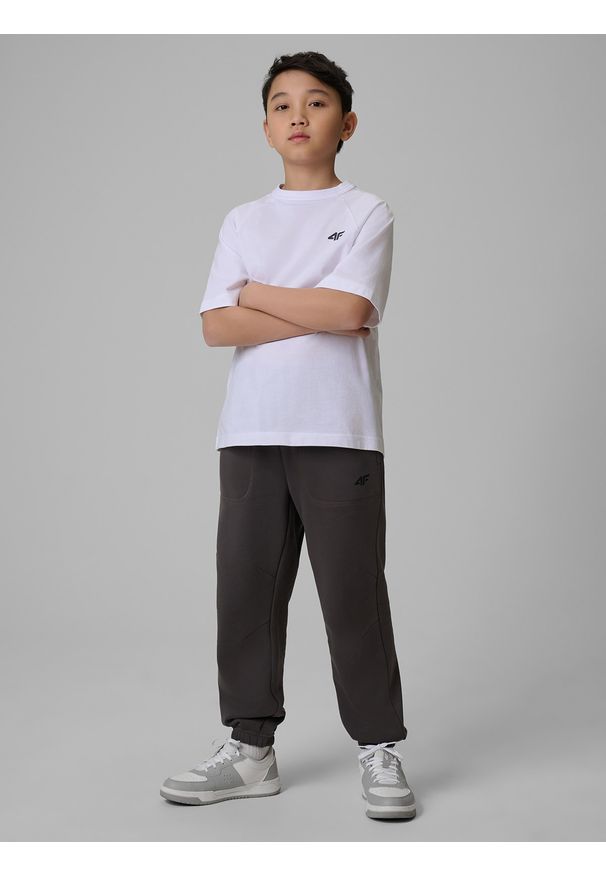 4f - 4F Spodnie dresowe joggery chłopięce - szare 134 (8-9 lat). Okazja: na co dzień, na uczelnię. Kolor: szary. Materiał: dresówka. Sezon: lato. Styl: casual