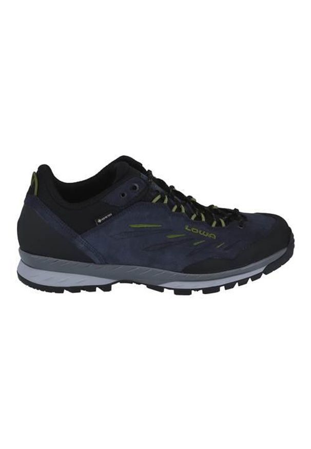Buty trekkingowe męskie Lowa Delago Low Gtx. Kolor: wielokolorowy. Materiał: skóra. Szerokość cholewki: normalna. Sport: turystyka piesza