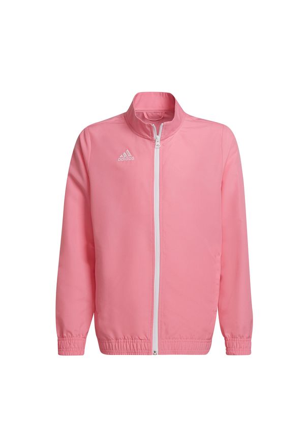 Adidas - Dziecięca bluza dresowa adidas Entrada 22. Kolor: różowy. Materiał: dresówka. Sport: piłka nożna