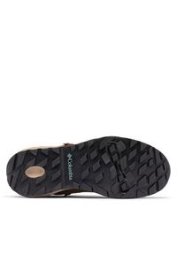 columbia - Columbia Trekkingi Newton Alpine PT™ 2128861 Brązowy. Kolor: brązowy. Materiał: skóra, zamsz. Sport: turystyka piesza #7