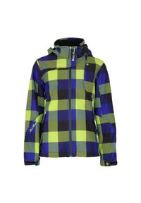 PEAK MOUNTAIN - Bluza softshell z nadrukiem dla dziewczynki Peak Mountain Gaveny. Kolor: zielony. Materiał: softshell. Wzór: nadruk. Sezon: zima. Sport: turystyka piesza #1