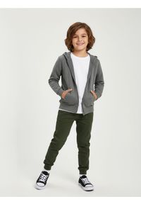 Sinsay - Jeansy jogger z efektem sprania - zielony. Kolor: zielony