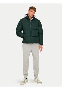 Only & Sons Kurtka zimowa 22025205 Zielony Regular Fit. Kolor: zielony. Materiał: syntetyk. Sezon: zima