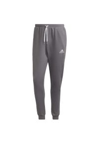 Spodnmie do piłki nożnej męskie Adidas Entrada 22 Sweat Pants. Kolor: szary. Materiał: bawełna, poliester, dresówka. Sport: fitness