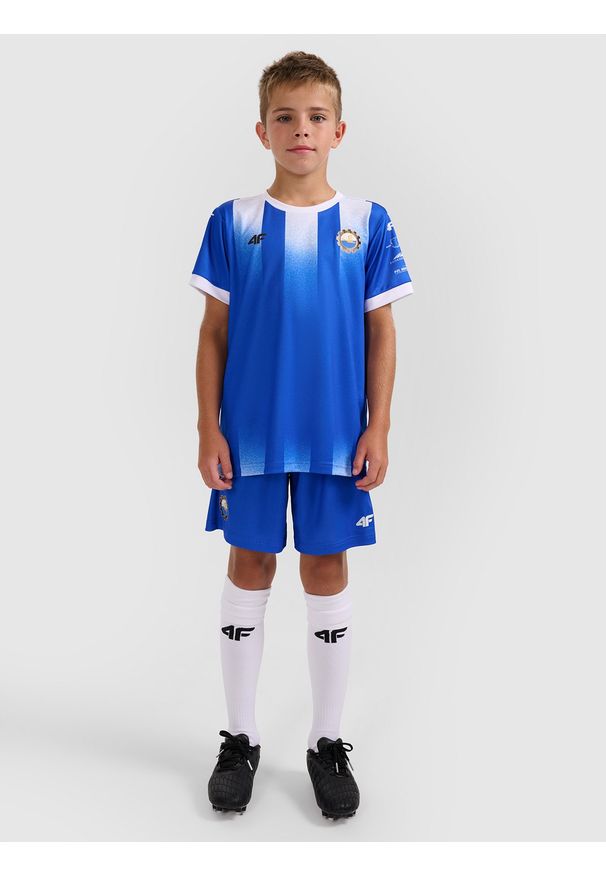 4f - 4F Koszulka klubowa wyjazdowa z sezonu 2025/26 dziecięca 4F x Stal Mielec - niebieska 134/140 (8-10 lat). Okazja: do domu. Kolor: niebieski. Materiał: włókno, dzianina. Wzór: gradientowy. Sezon: lato. Styl: młodzieżowy
