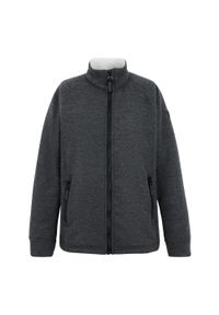 Regatta - Damska Bluza Polarowa Emilde Z Pełnym Zamkiem Błyskawicznym. Kolor: szary. Materiał: polar. Sezon: zima #1