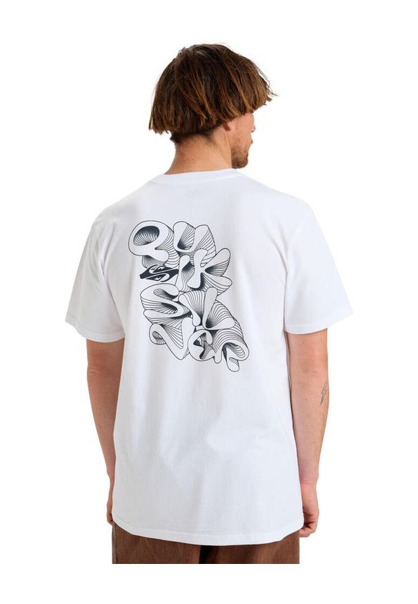Quiksilver - Koszulka z krótkim rękawem dla Mężczyzn EV RIPPLE FONT Biały. Kolor: biały. Materiał: materiał, bawełna. Długość rękawa: krótki rękaw. Długość: krótkie. Wzór: nadruk