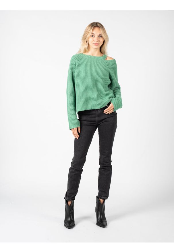 Pinko Sweter "Marsala" | 1G189N A08G | Kobieta | Zielony. Kolor: zielony. Materiał: wełna, poliester, wiskoza, poliamid, kaszmir