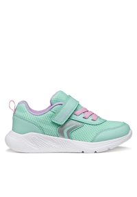Sneakersy Geox. Kolor: zielony #1