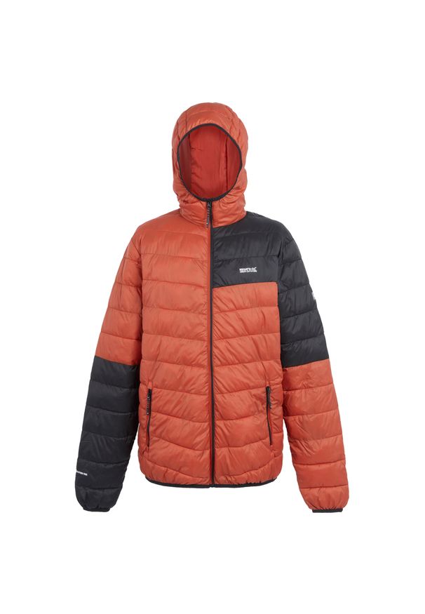 Regatta - Męska Kurtka Hillpack III Hooded Active Padded Jacket. Kolor: czerwony, wielokolorowy, czarny. Materiał: puch. Sport: turystyka piesza