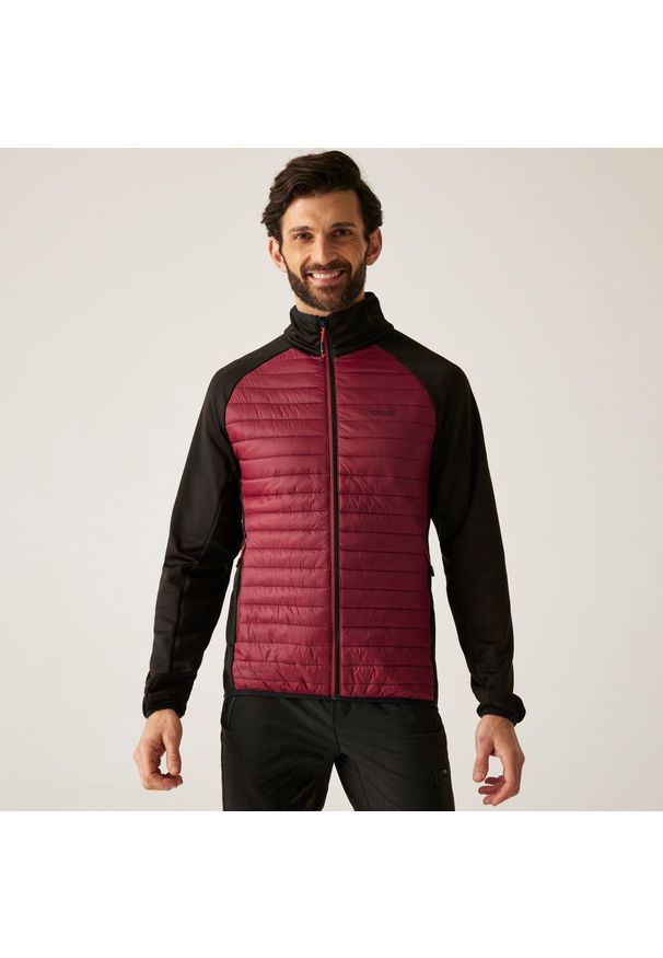 Regatta - Kurtka męska hybrydowa Clumber. Kolor: czerwony, brązowy, wielokolorowy. Materiał: puch. Sport: turystyka piesza