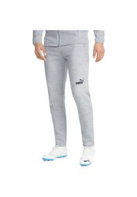 Spodnie Puma Teamfinal Casuals Pants, Mężczyźni. Kolor: czarny, szary, wielokolorowy. Materiał: materiał, bawełna. Sport: piłka nożna
