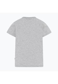 LEGO Wear - Koszulka trekkingowa dziecięca LEGO Lwtaylor 317. Kolor: szary
