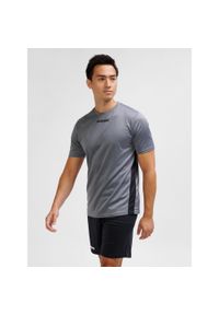 Koszulka Hummel Multi PL. Kolor: szary. Sport: koszykówka #1