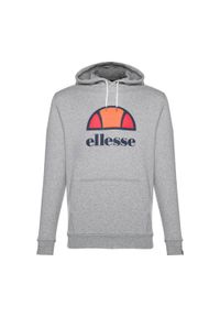 Bluza treningowa męska Ellesse Dahryl Oh Hoody. Kolor: szary