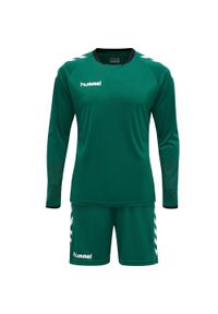 Strój bramkarski męski Hummel hml CORE. Kolor: biały, wielokolorowy, zielony. Sport: fitness
