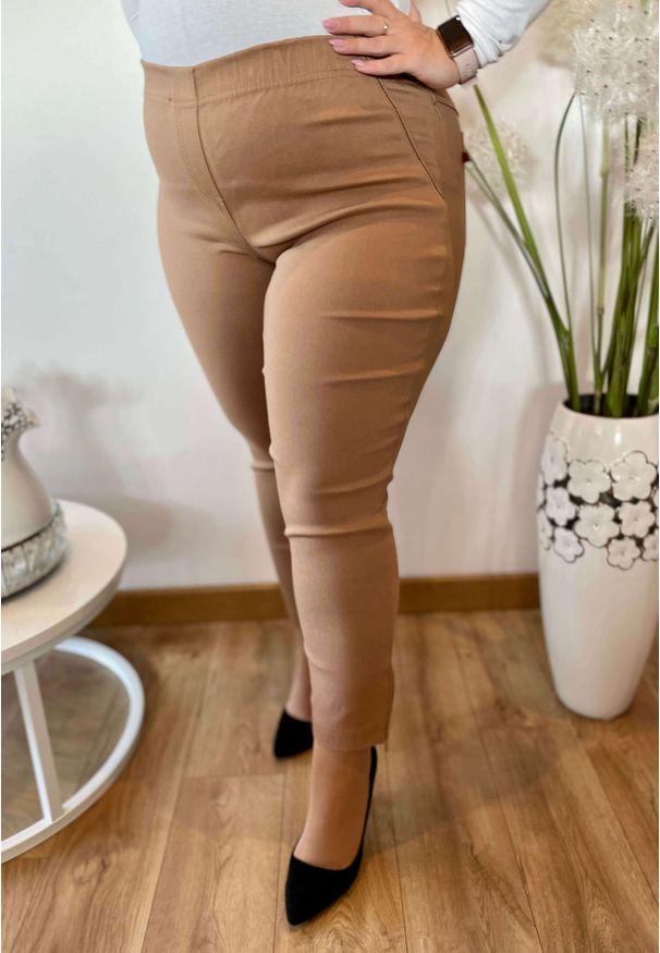 Nasi partnerzy - Beżowe spodnie chinosy Nina z zamkami 7/8 PLUS SIZE XXL. Okazja: do pracy, na co dzień, na spacer. Kolekcja: plus size. Kolor: beżowy. Materiał: wiskoza, tkanina, poliester, materiał, włókno, elastan. Długość: krótkie. Styl: casual