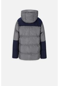 Kurtka turystyczna chłopięca ciepła Lemon Explore ZL3 szara. Typ kołnierza: kaptur. Kolor: szary. Materiał: poliester. Sezon: zima. Sport: turystyka piesza #2