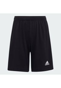 Adidas - Spodenki piłkarskie dla dzieci adidas Entrada 22. Kolor: czarny. Materiał: poliester. Styl: sportowy