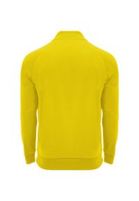 ROLY - Bluza Z Długim Rękawem Dla Dorosłych Unisex Epiro Quarter Zip. Kolor: żółty. Długość rękawa: długi rękaw. Długość: długie