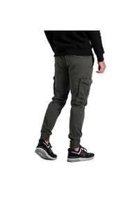 Alpha Industries Joggery Twill 116202 Szary Regular Fit. Kolor: szary. Materiał: bawełna